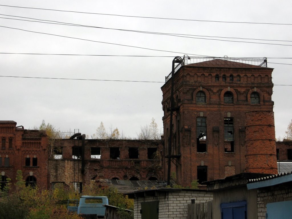 Руины консервного завода, Ряжск