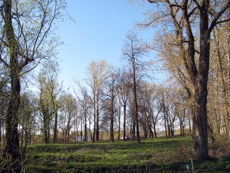 Pervomaysky park of Sapozhok, Сапожок