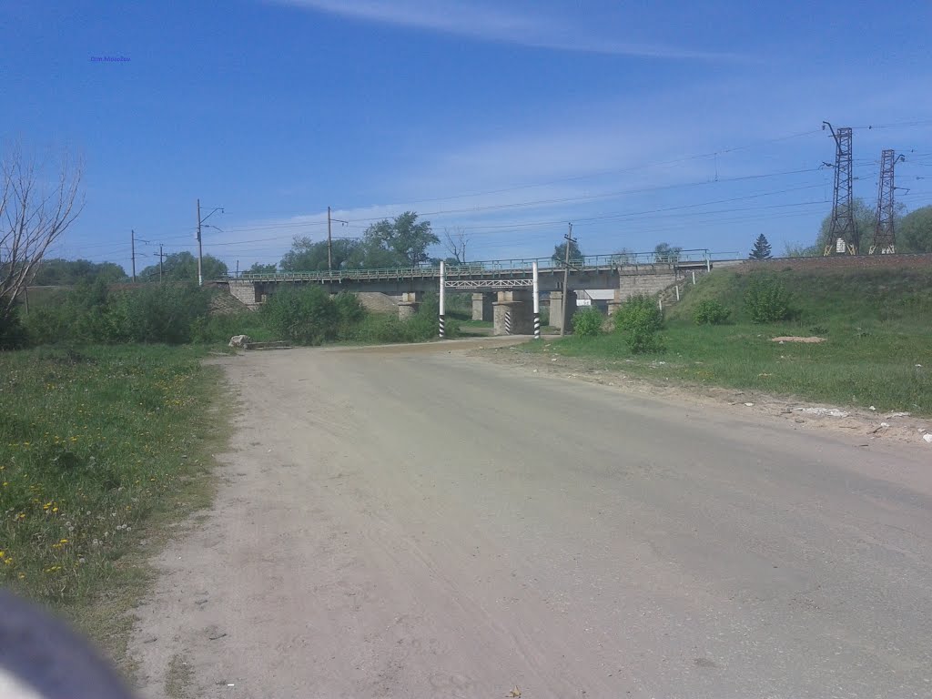 ЖД. Мост через р. Сасовка, Сасово