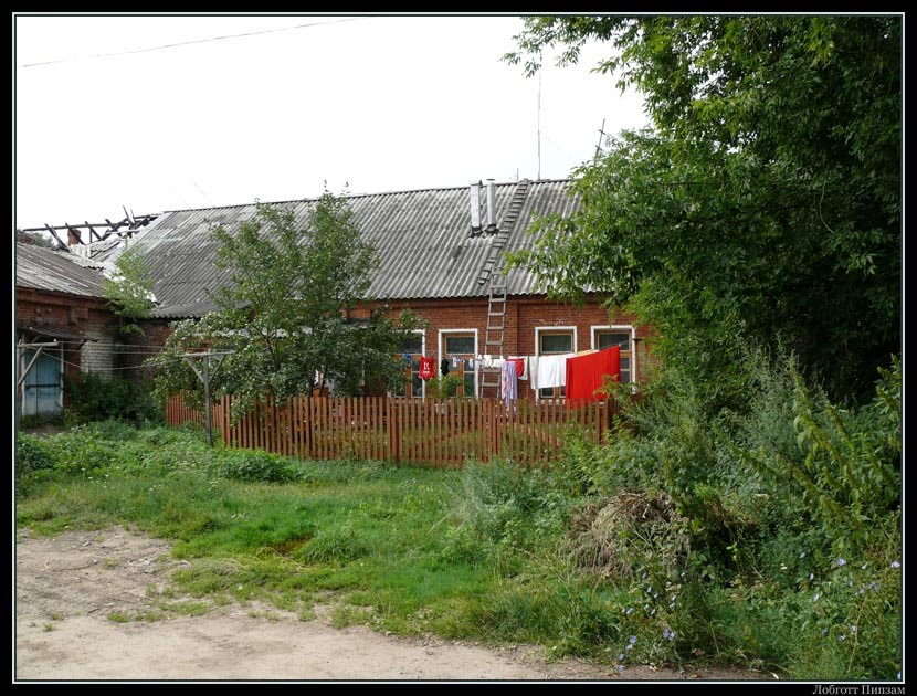 Конный завод в Старожилово (лето 2011 года), Старожилово