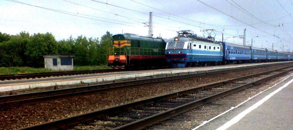 Поезда на ж/д станции Чучково. Июнь 2006., Чучково