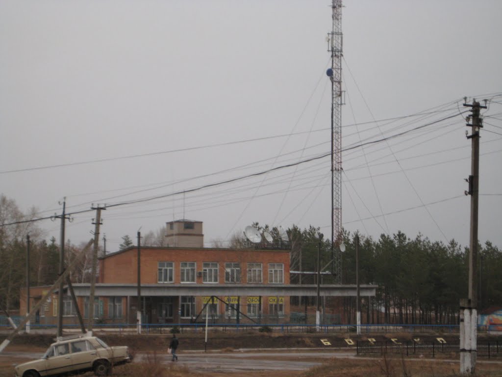 Автовокзал в Борском, Борское