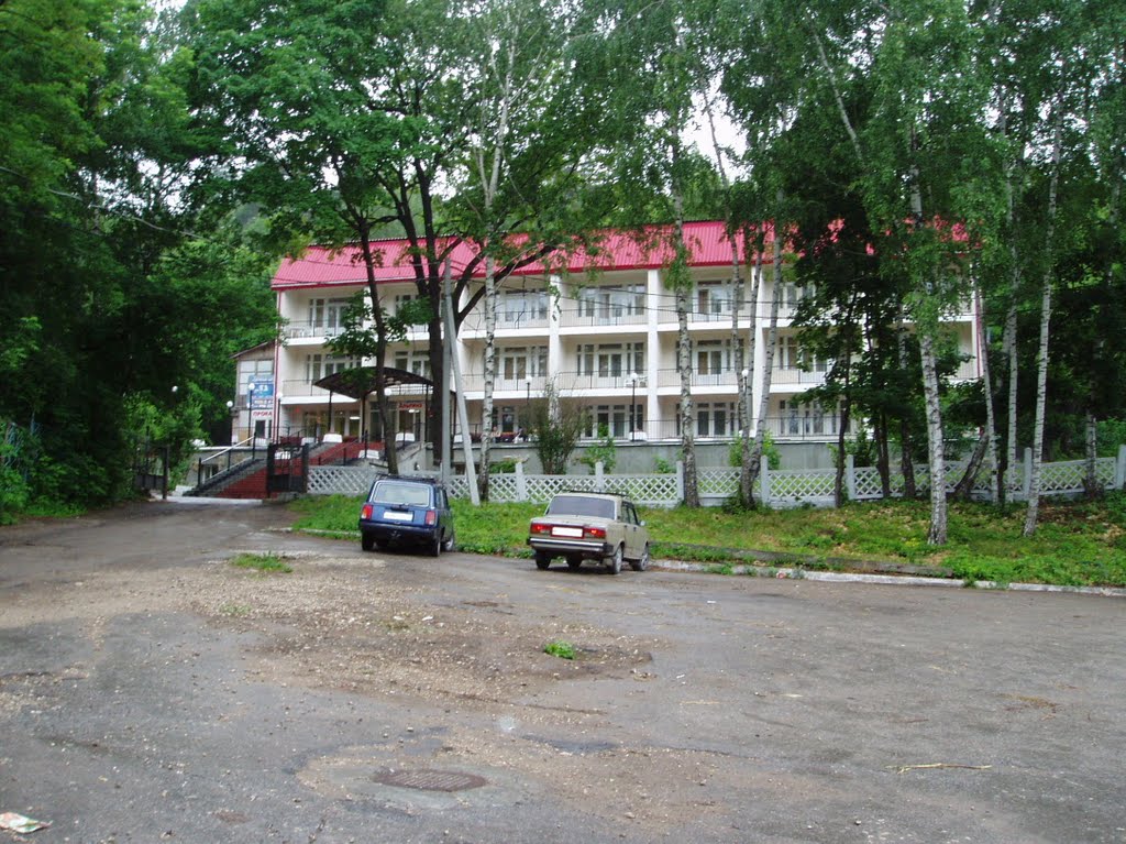 Hotel Alpina, Zhigulevsk, 2009, Жигулевск