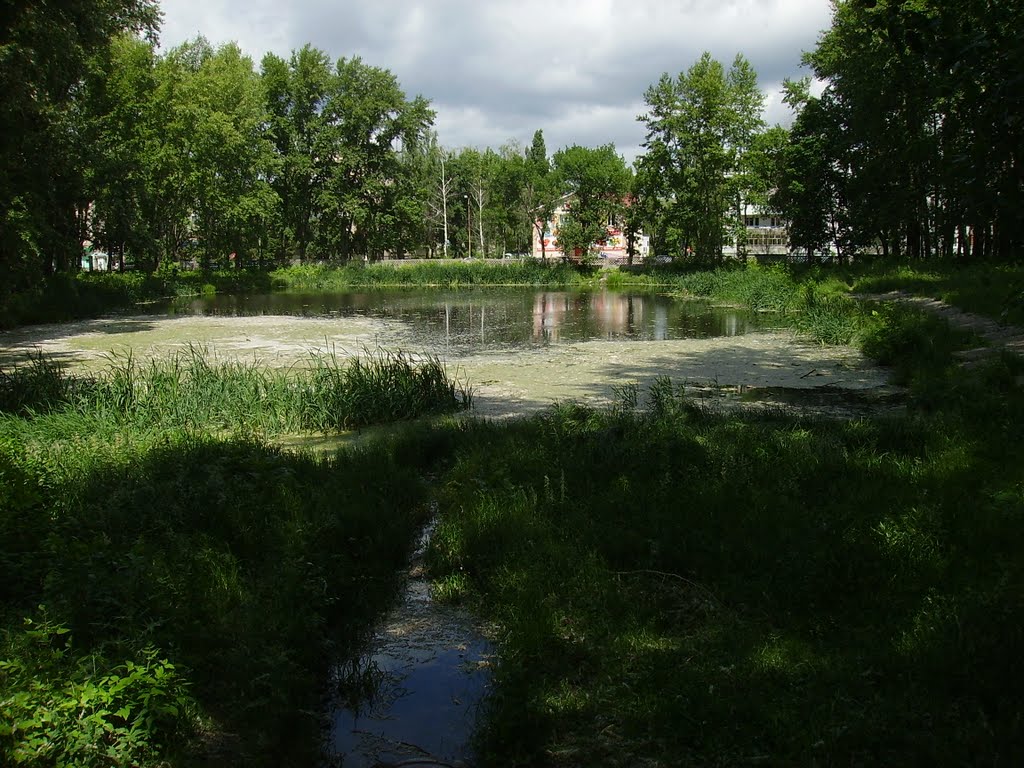 Городской пруд, Жигулевск
