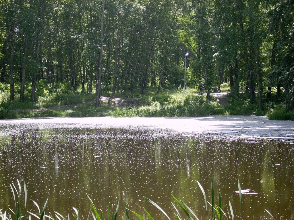 Заснеженный пруд, Жигулевск