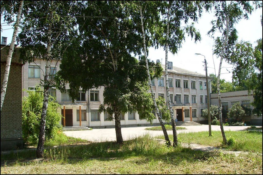 Школа №16, Жигулевск