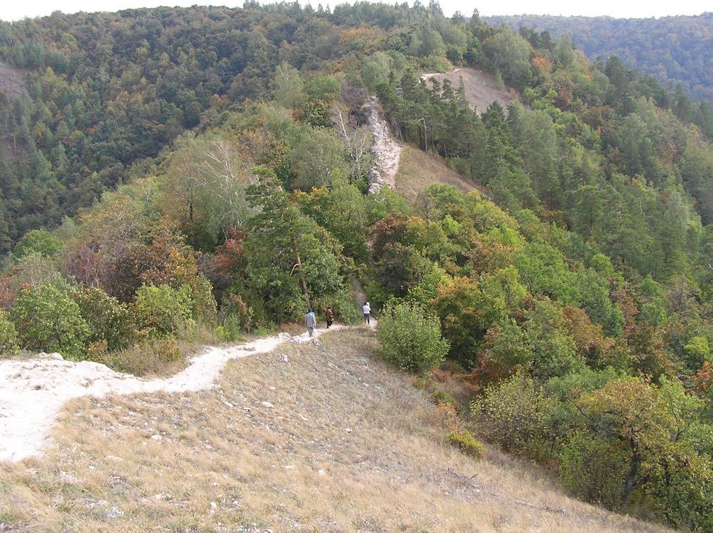 Дорога для туристов по Жигулёвским горам 2005 год, Зольное