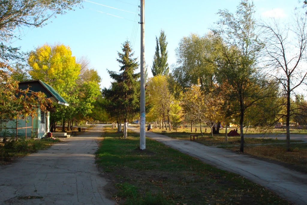 Программа "Мир природы Кинель-Черкасского района в поэзии" 2019, Кинель-Черкасск