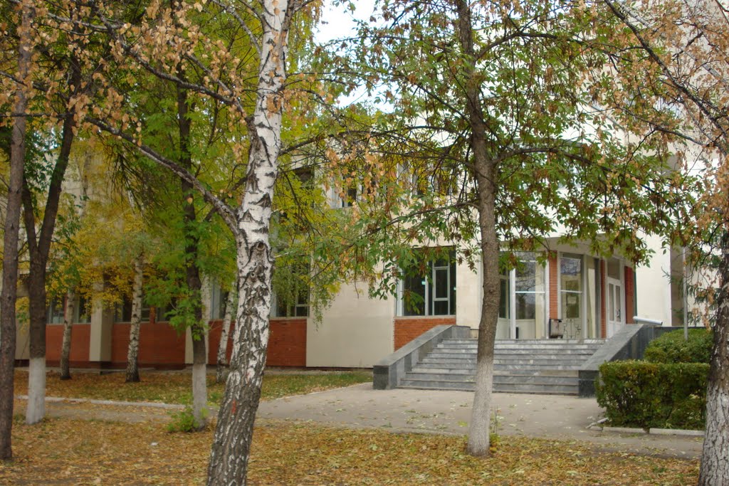 Здание Администрации г.Кинеля, вид из парка, Кинель