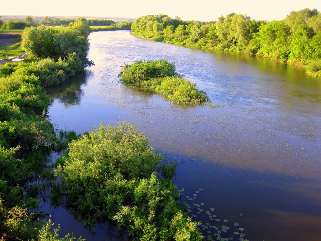 Река Б. Кинель в районе моста, Кинель-Черкасы