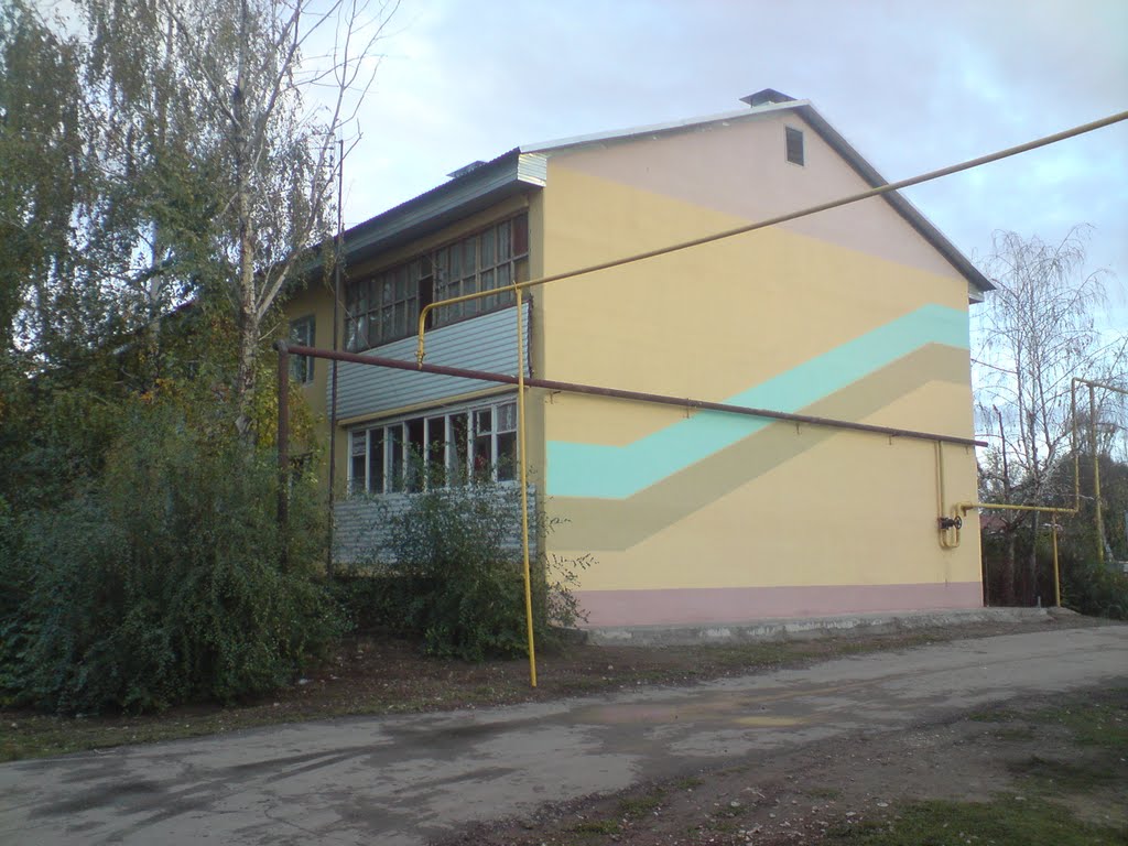 Дом на переулке Космонавтов, Красноармейское