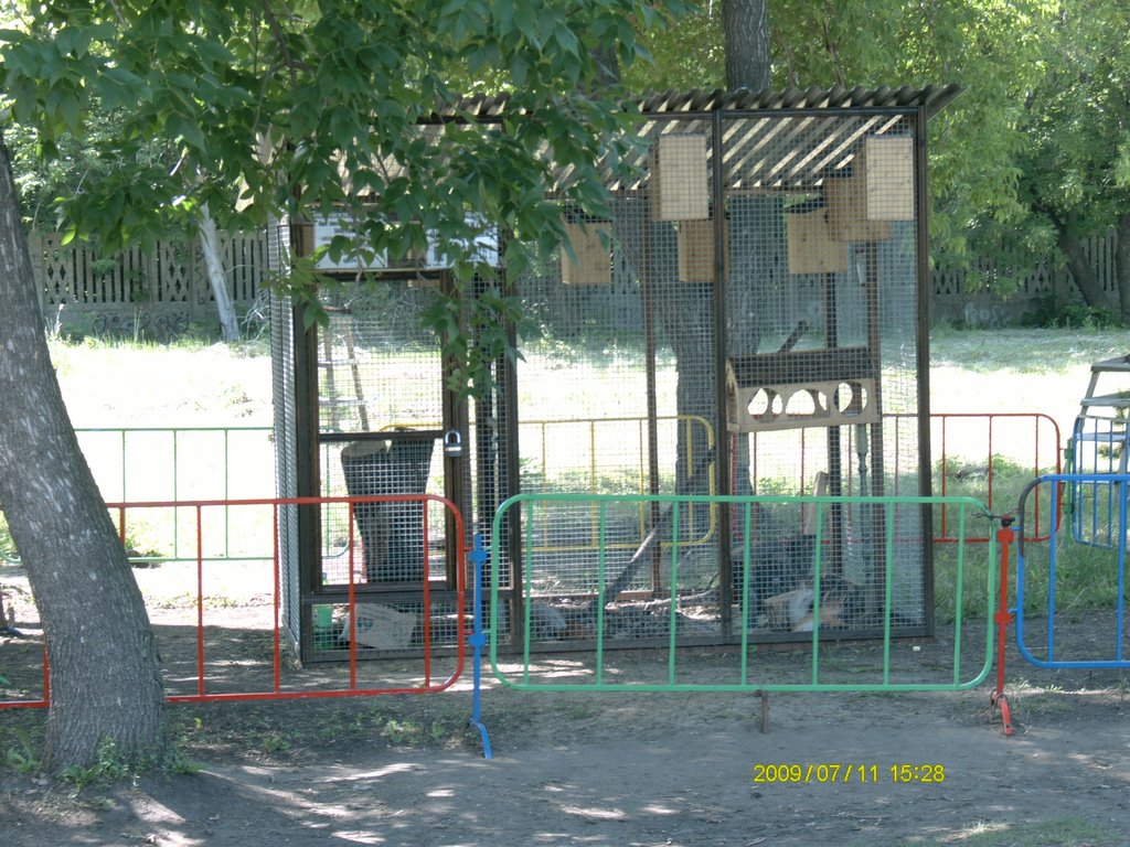 Беличий вольер в парке "Дубки", Новокуйбышевск