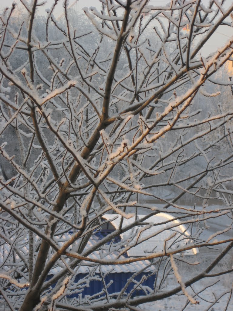 winter, Новокуйбышевск