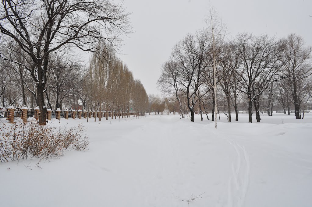В парке "Дубки" зимой., Новокуйбышевск