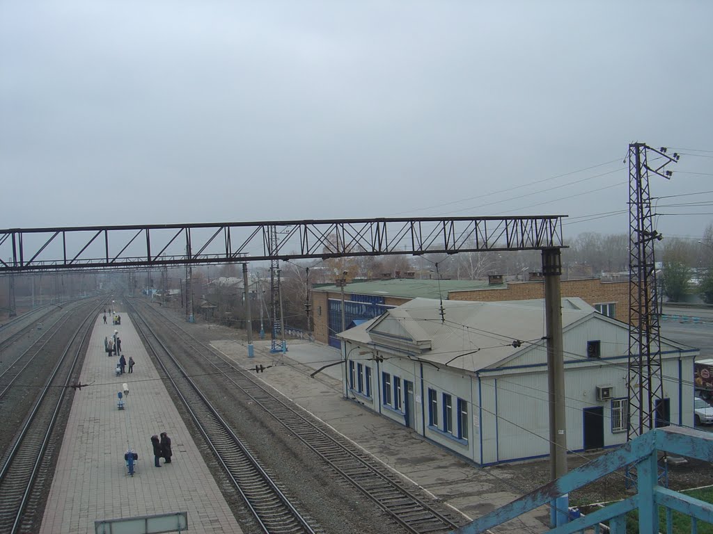 Станция Новоотрадная вид с моста, Отрадный