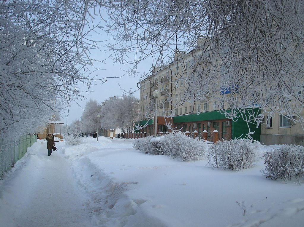 Улица Васильева, Похвистнево