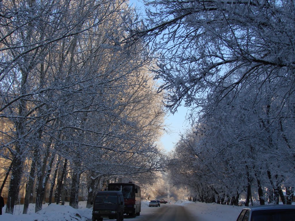 Зимнее утро, Тольятти