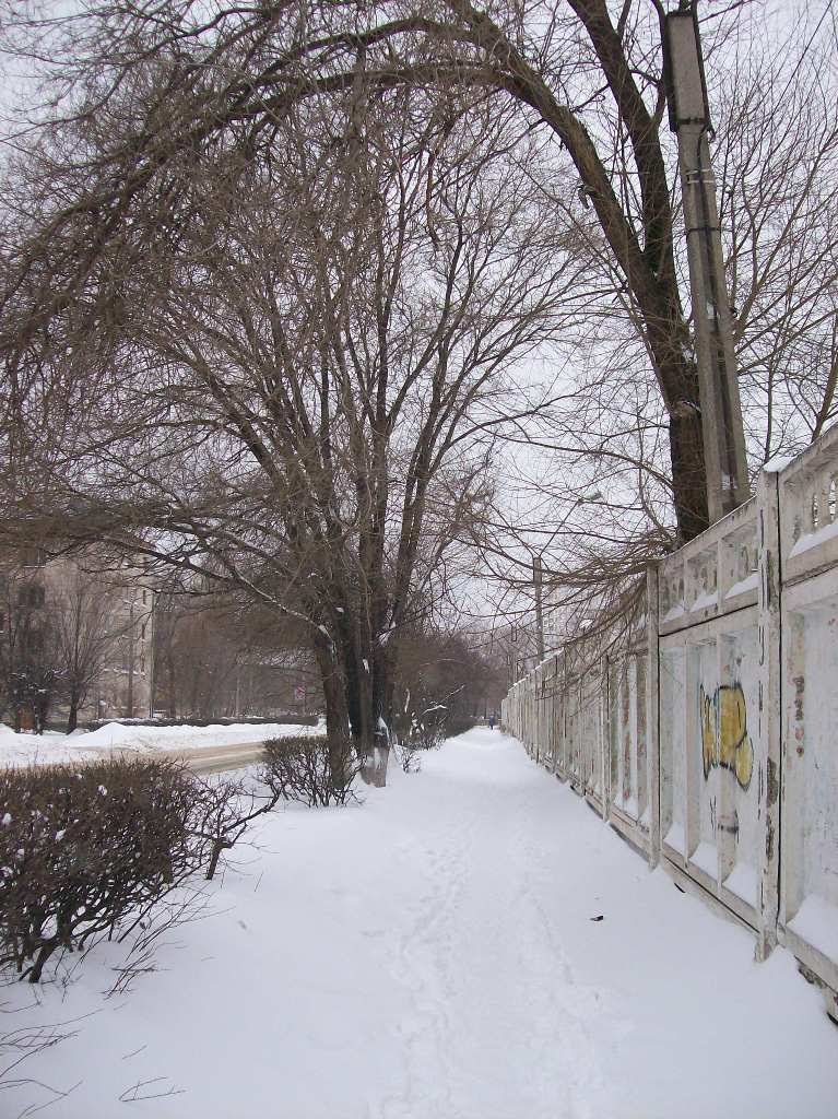 Снег и забор, Тольятти