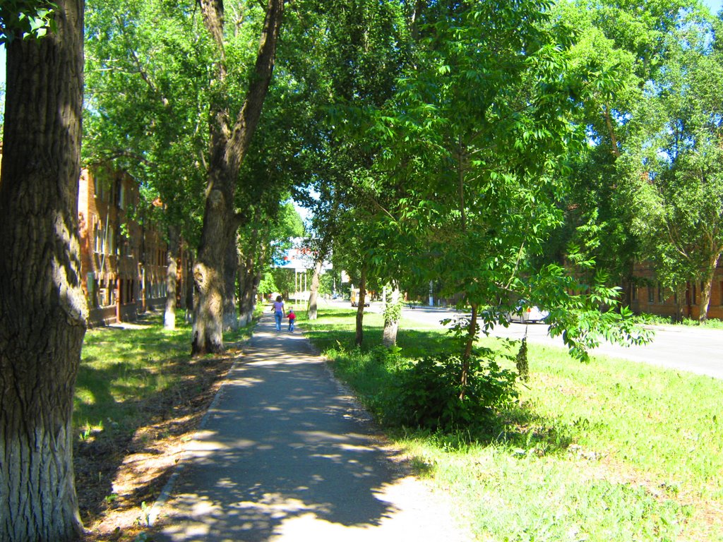 Улица Пионерская, Чапаевск