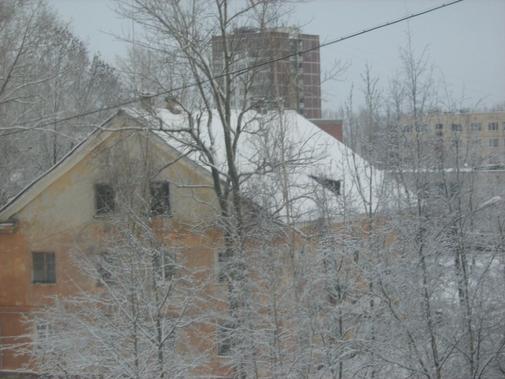 вид из окна Гатчинская 18а, Коммунар