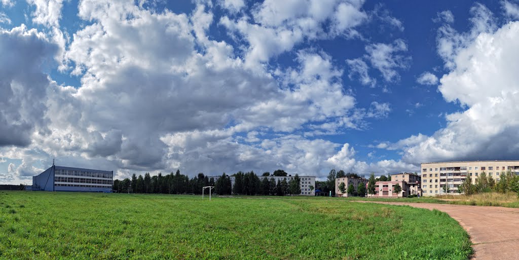 травка, небо и бассейн(август 2011), Пикалёво