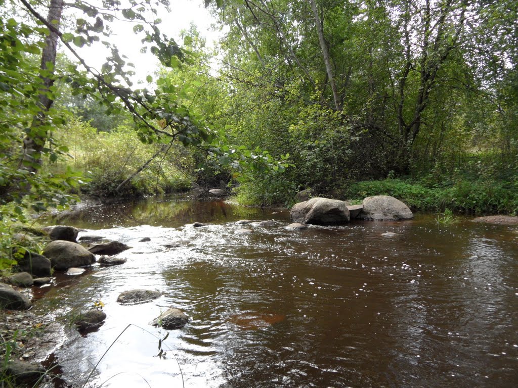 Река большая черная фото Река большая черная фото