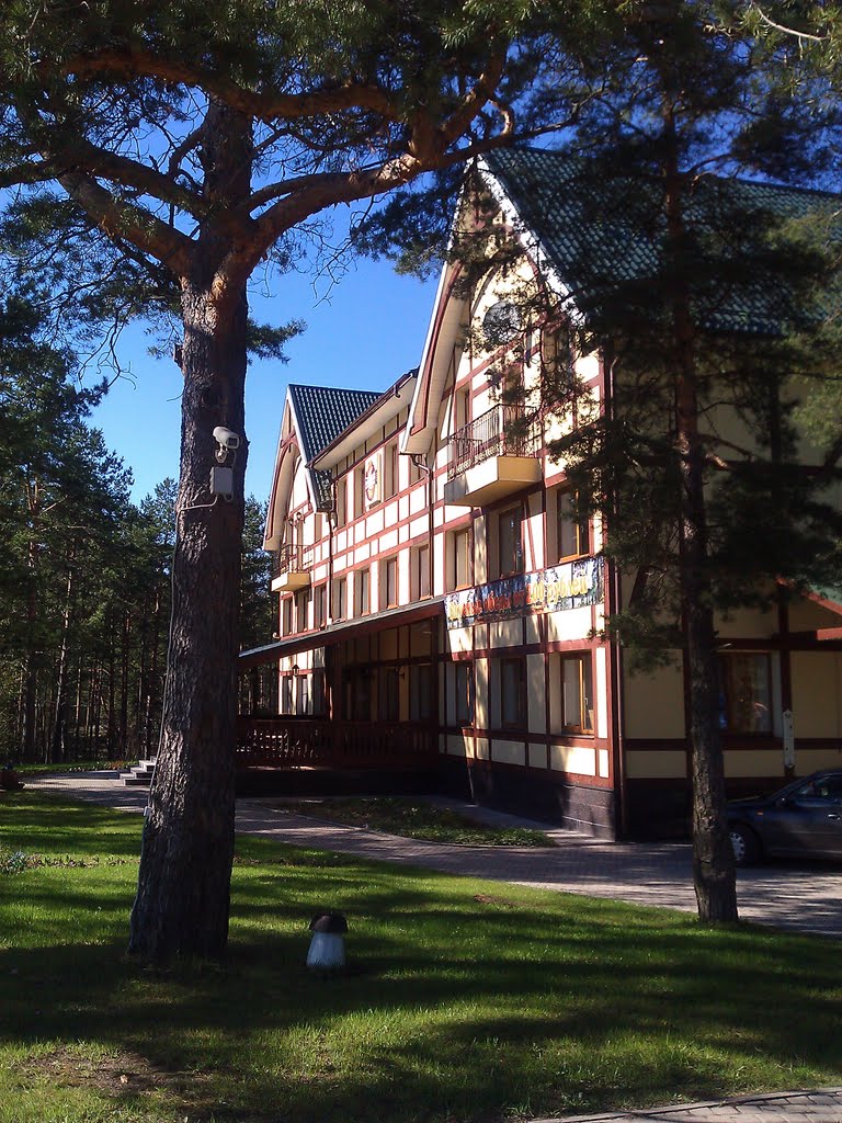 Парк-отель "Пилигрим", Будогощь