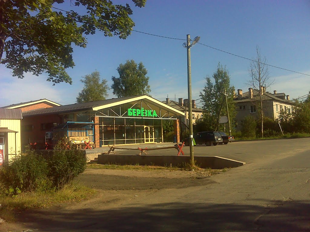 Магазин "Березка", Будогощь