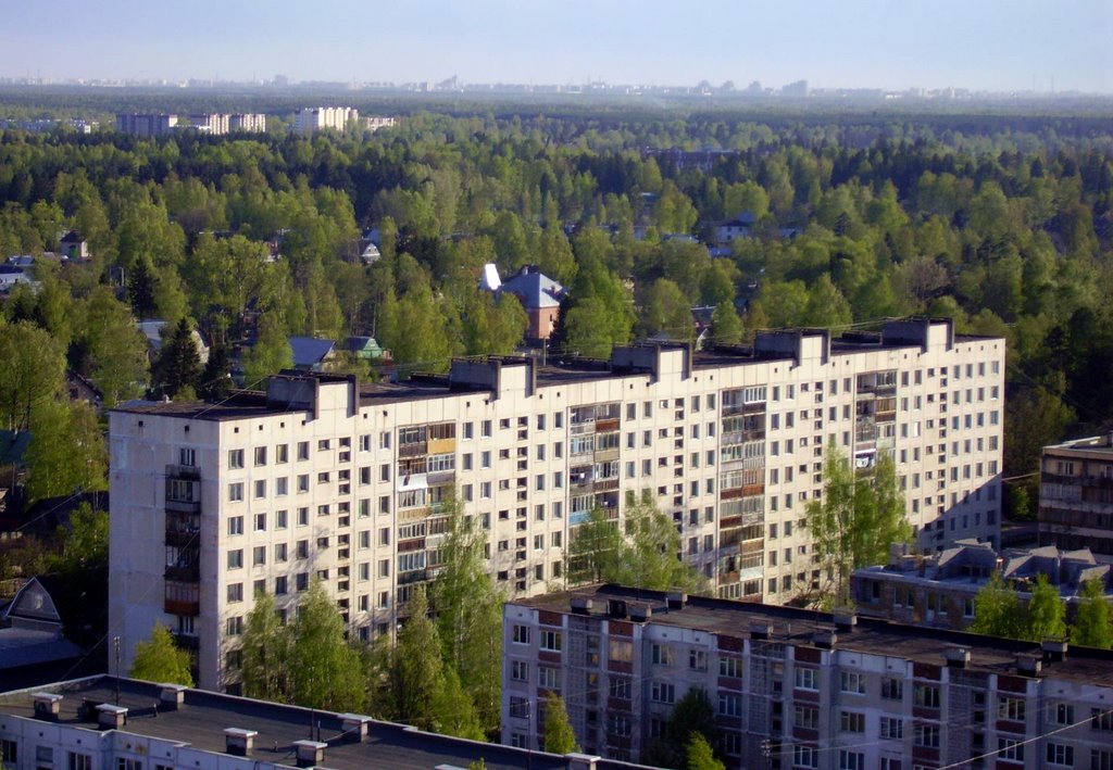 Фото Всеволожск. 2006.05.14. в городе Всеволожск