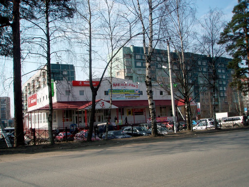 Универсам "Пятерочка" / Supermarket Pyatyorochka, Всеволожск