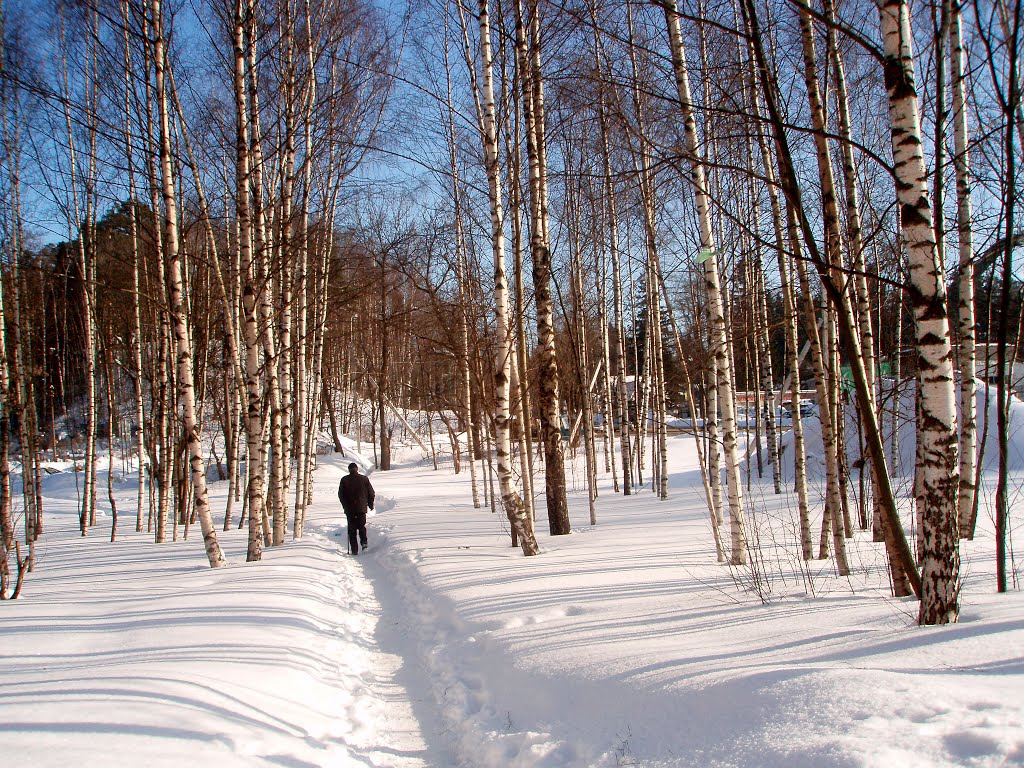 Зима / Winter, Всеволожск