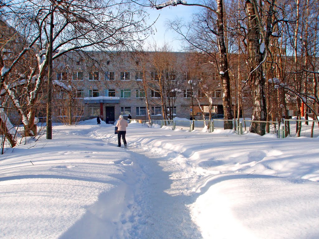 Всеволожск. Зима 2010 г. / Vsevolozhsk. Winter of 2010., Всеволожск