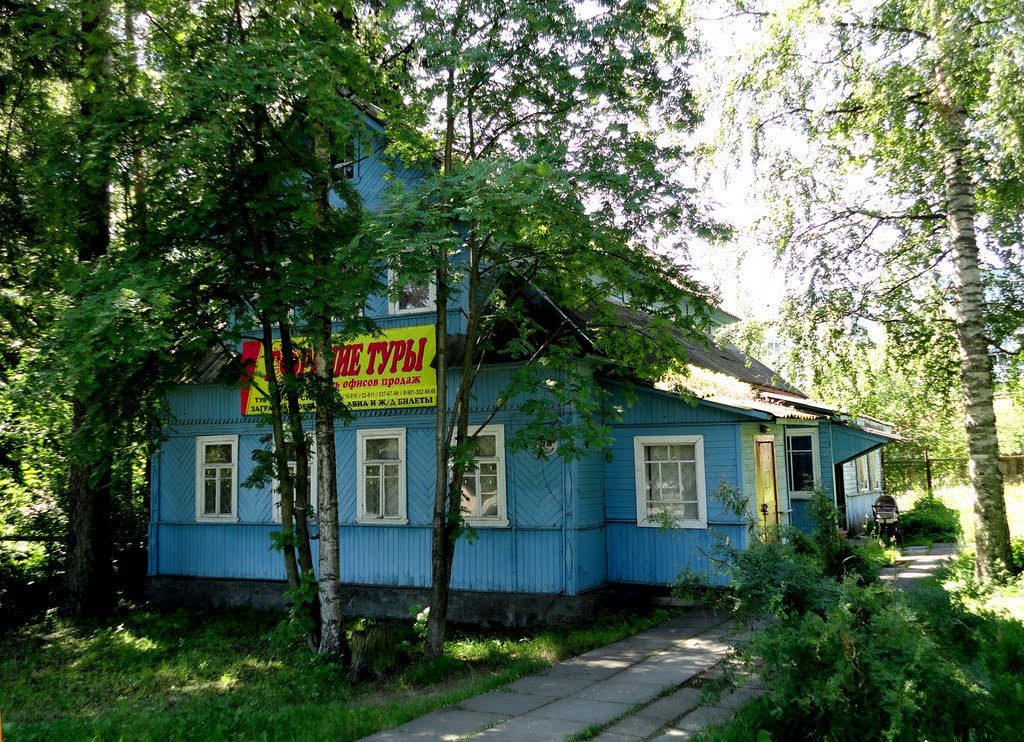 Old House / Старый дом, Всеволожск