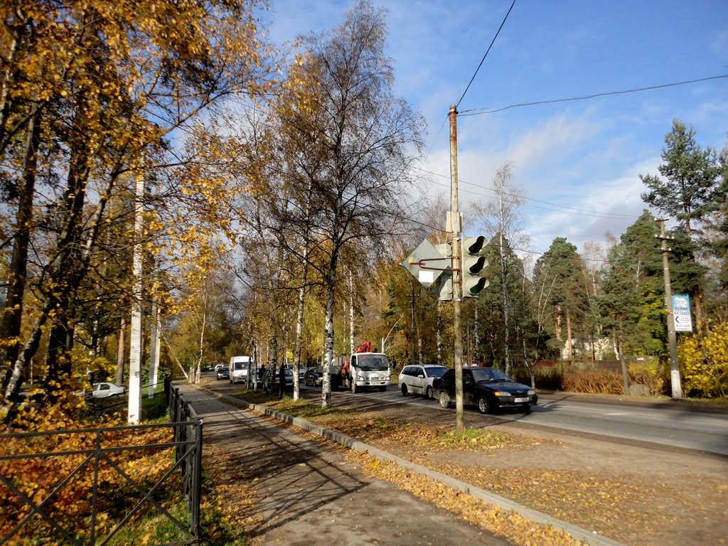 Autumn in Vsevolozhsk / Осень во Всеволожске, Всеволожск