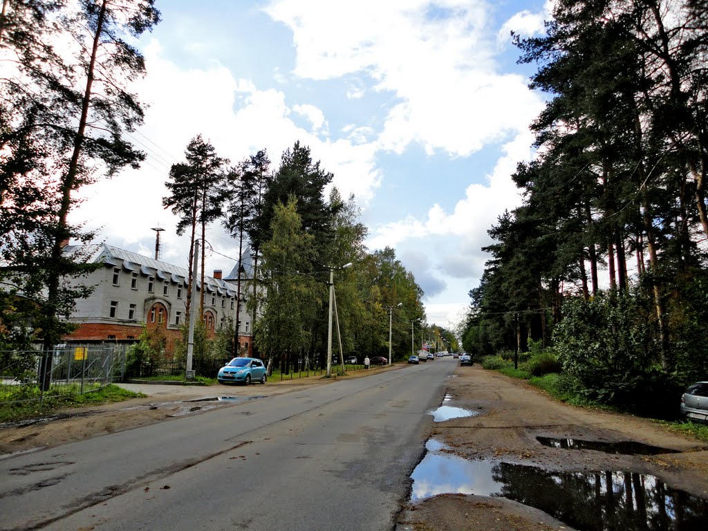 Всеволожск санкт петербург фото Всеволожск санкт петербург фото