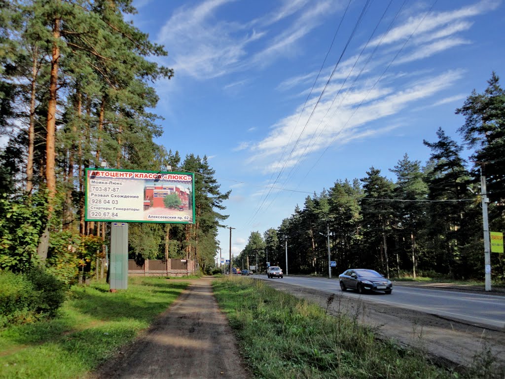 Highway Koltushskoe / Колтушское шоссе, Всеволожск