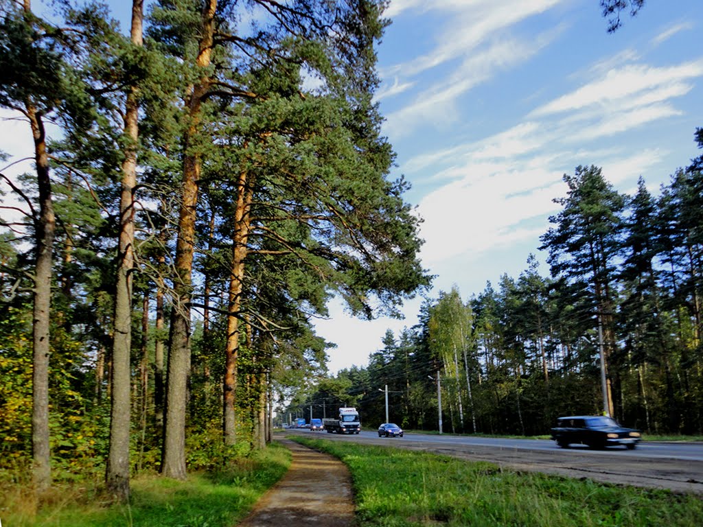 Highway Koltushskoe / Колтушское шоссе, Всеволожск