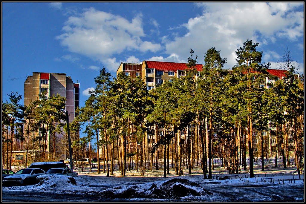 Всеволожск санкт петербург фото Всеволожск санкт петербург фото