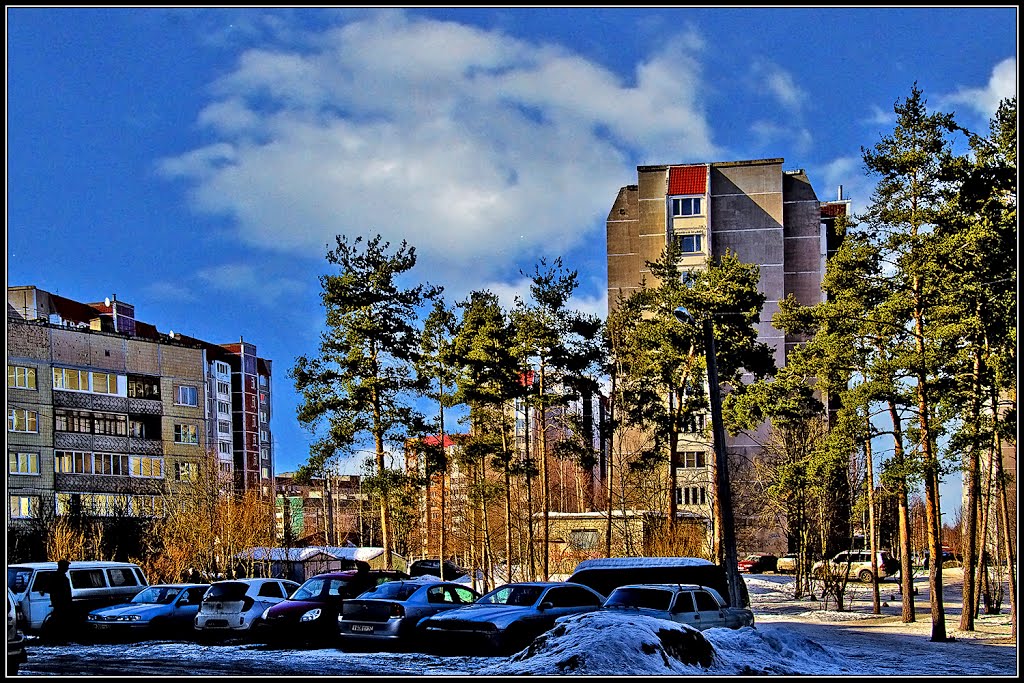 Всеволожск санкт петербург фото Всеволожск санкт петербург фото