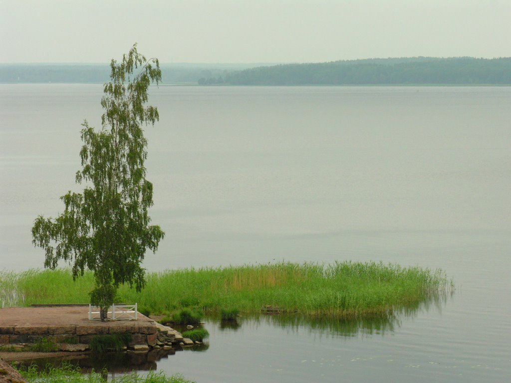 View to Zashchitnaya bay in Monrepo park, Выборг