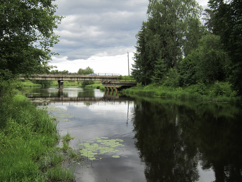 Бумагин мост, Вырица