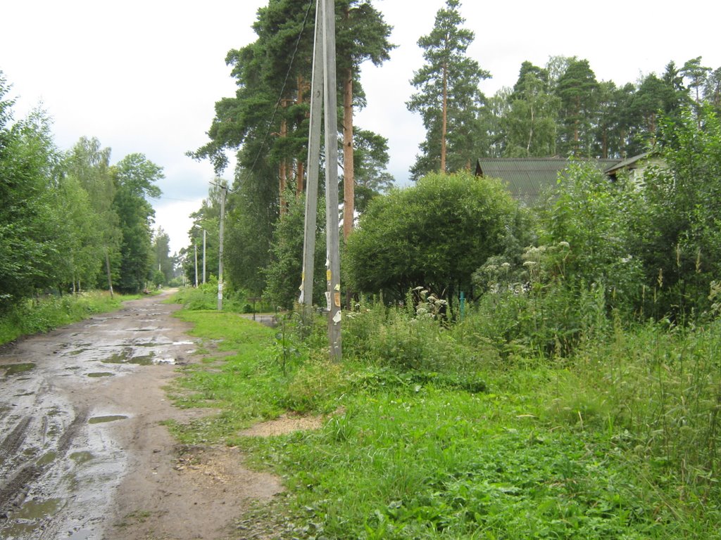 Фото Ул. Бакунина в городе Вырица