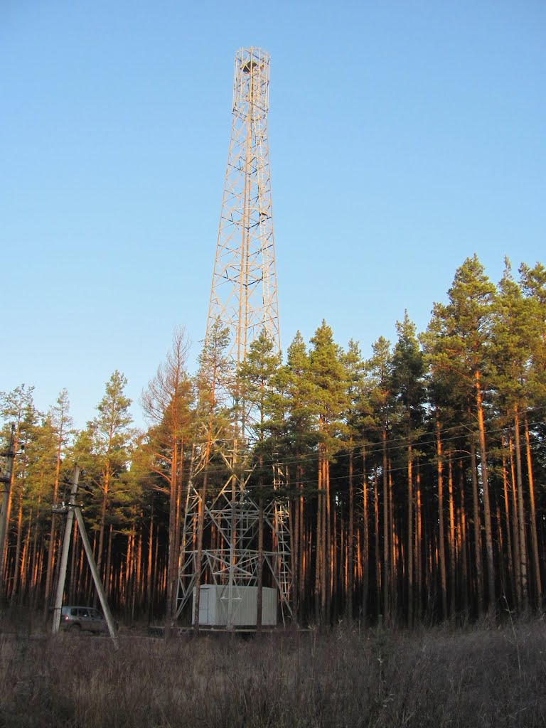 Башня Линк Девелопмент в п. Вырица (Север), Гатчинский р-н, Вырица