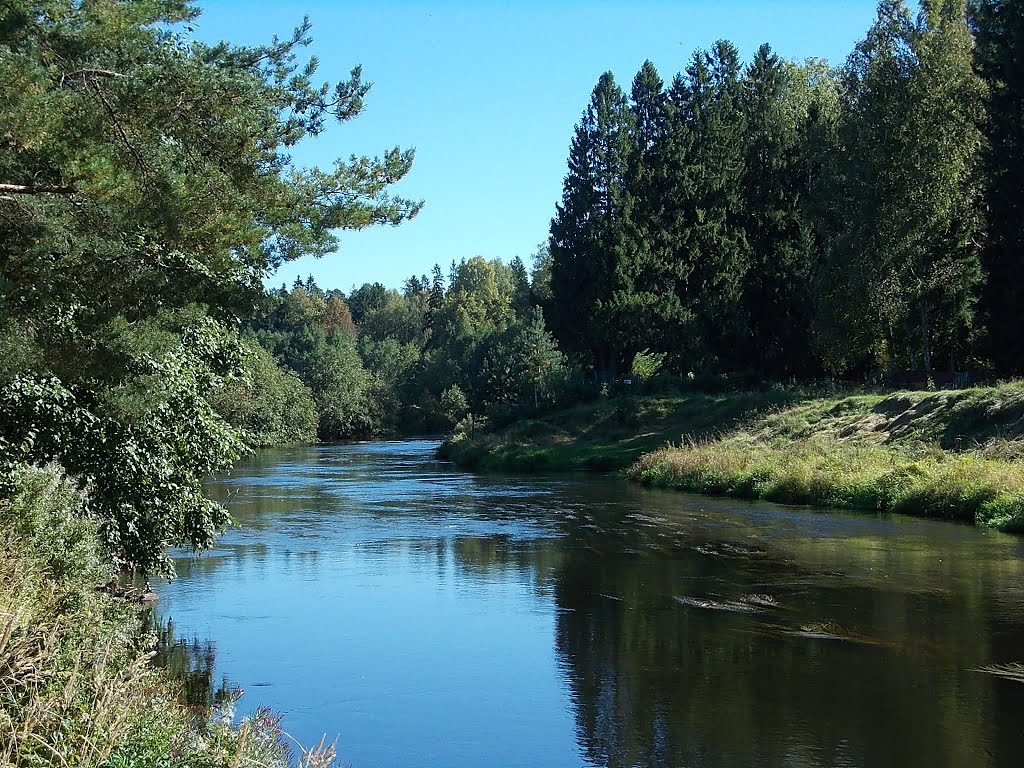 Река Оредеж, Вырица