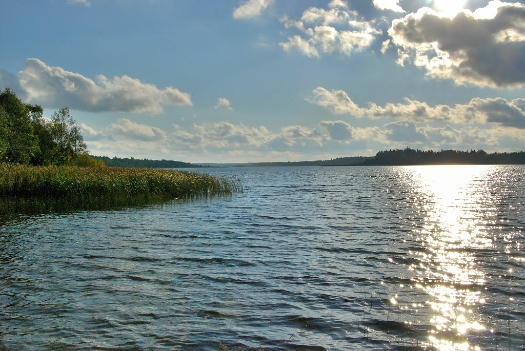 Орлинское озеро, Дружная Горка