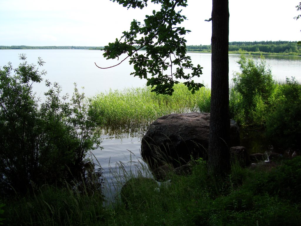 The Orlinsky lake, Дружная Горка