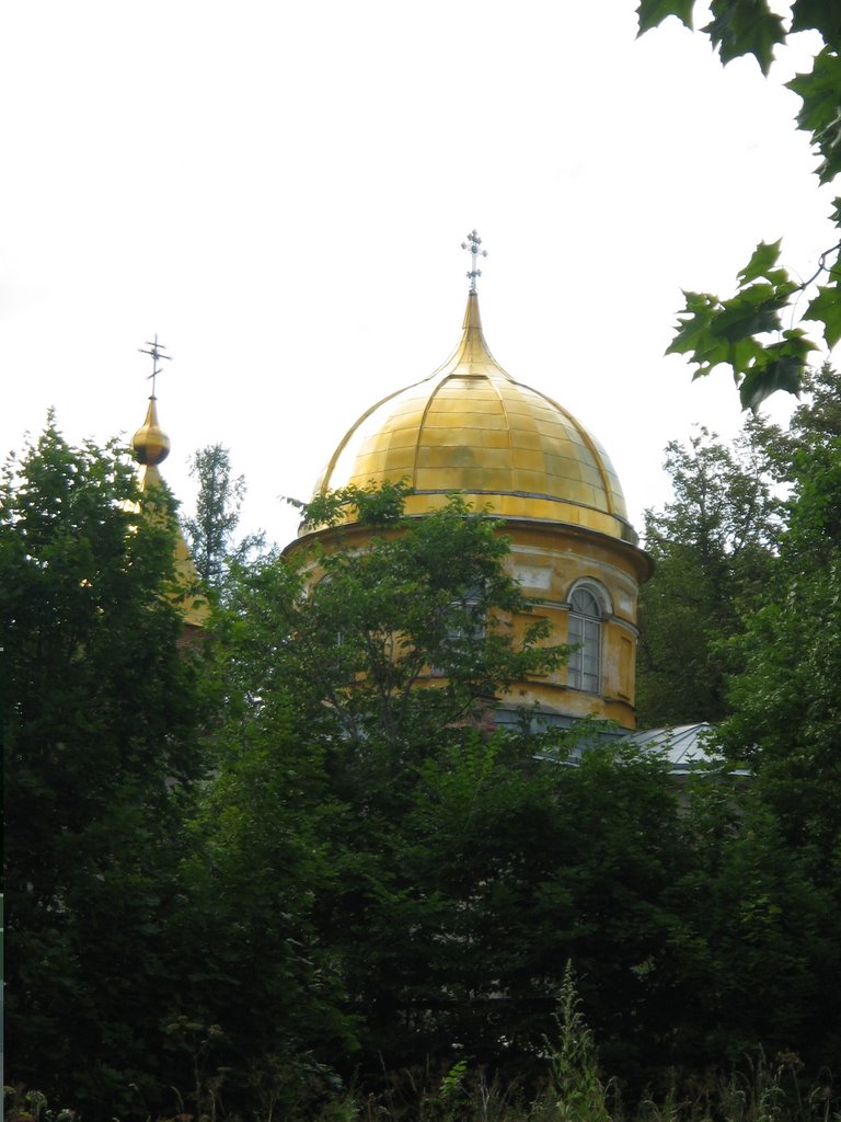 Орлинская церковь, Дружная Горка
