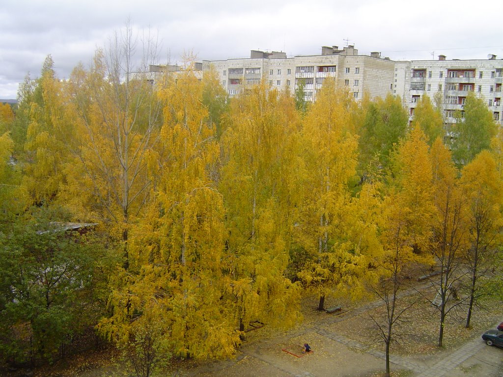 Вид с моего балкона, Дубровка