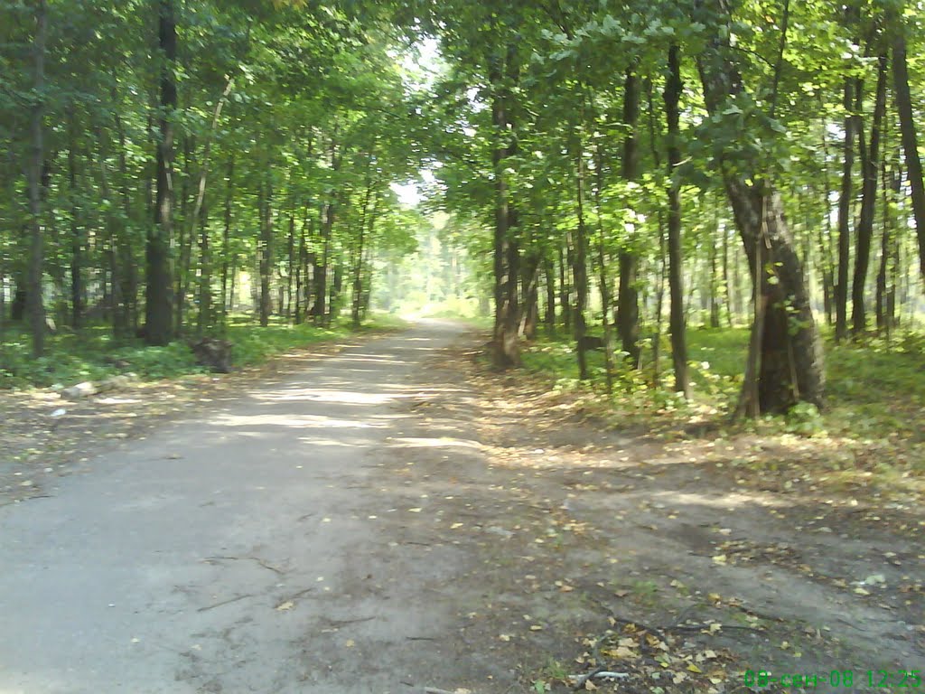 Дорожка в лесу=), Дубровка