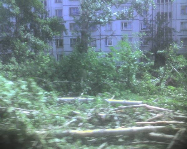 Посёлок Дербышки наутро после урагана, Дубровка
